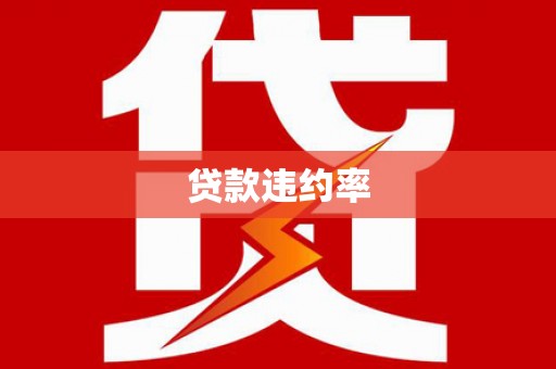 水城贷款违约率