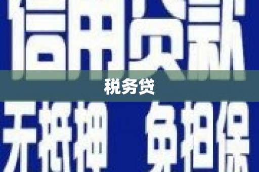 水城税务贷