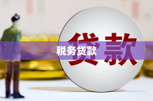 水城税务贷款
