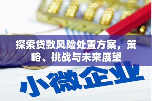 水城探索贷款风险处置方案，策略、挑战与未来展望