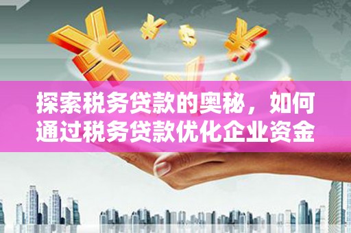 水城探索税务贷款的奥秘，如何通过税务贷款优化企业资金流