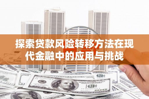 水城探索贷款风险转移方法在现代金融中的应用与挑战