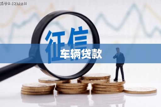 水城车辆贷款