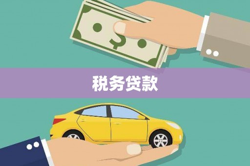 水城税务贷款