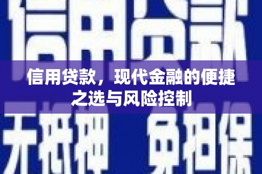 水城信用贷款，现代金融的便捷之选与风险控制