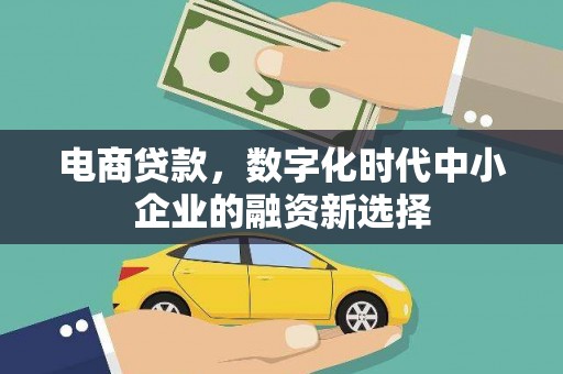 水城电商贷款，数字化时代中小企业的融资新选择