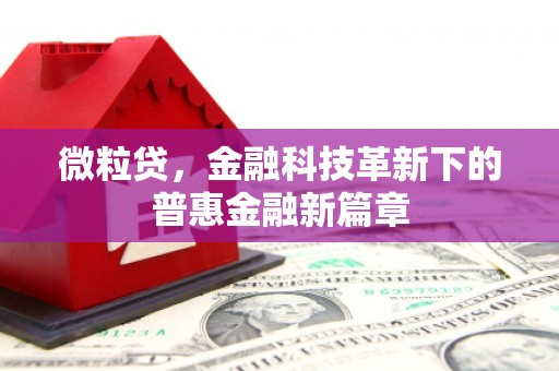 水城微粒贷，金融科技革新下的普惠金融新篇章