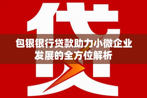 水城包银银行贷款助力小微企业发展的全方位解析