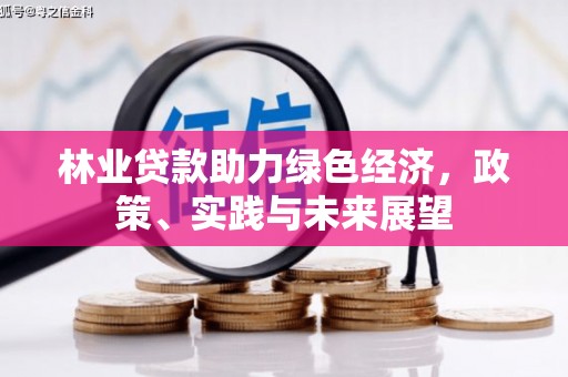 水城林业贷款助力绿色经济，政策、实践与未来展望