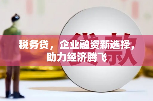 水城税务贷，企业融资新选择，助力经济腾飞