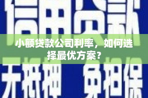 水城小额贷款公司利率，如何选择最优方案？
