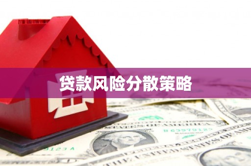 水城贷款风险分散策略
