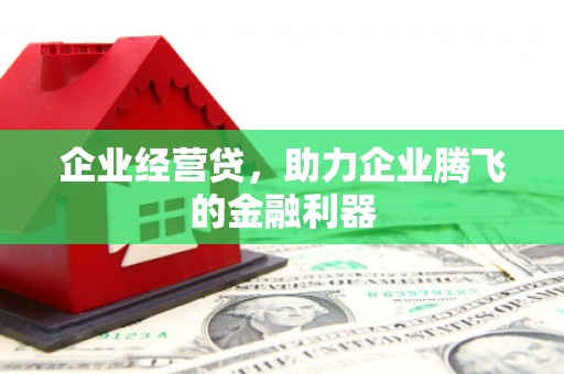 水城企业经营贷，助力企业腾飞的金融利器