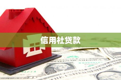 水城信用社贷款