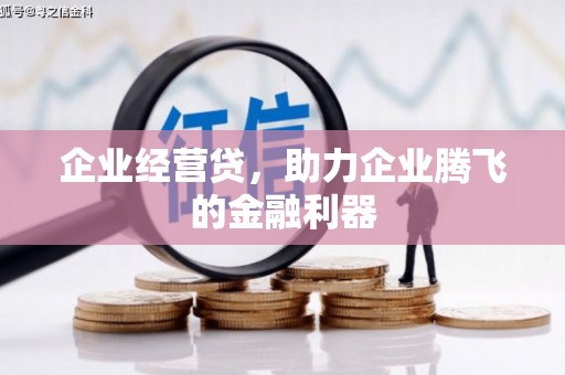 水城企业经营贷，助力企业腾飞的金融利器