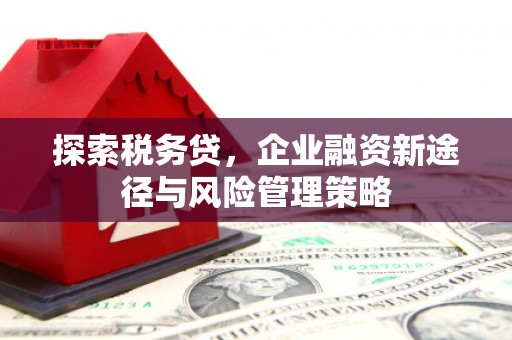 水城探索税务贷，企业融资新途径与风险管理策略
