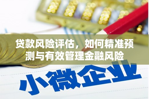 水城贷款风险评估，如何精准预测与有效管理金融风险