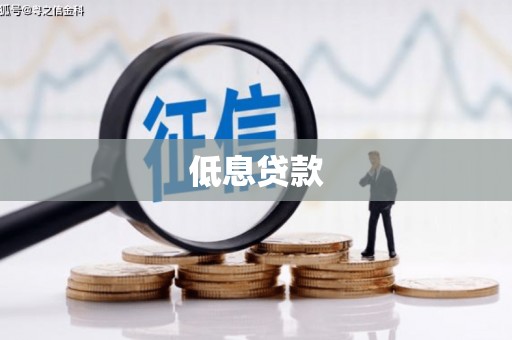 水城低息贷款