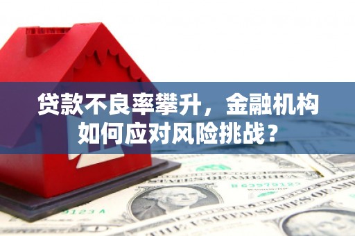水城贷款不良率攀升，金融机构如何应对风险挑战？