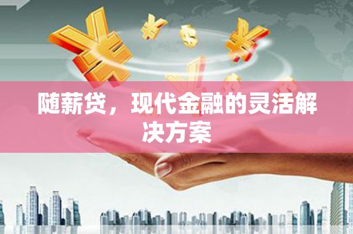 水城随薪贷，现代金融的灵活解决方案