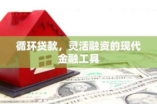 水城循环贷款，灵活融资的现代金融工具