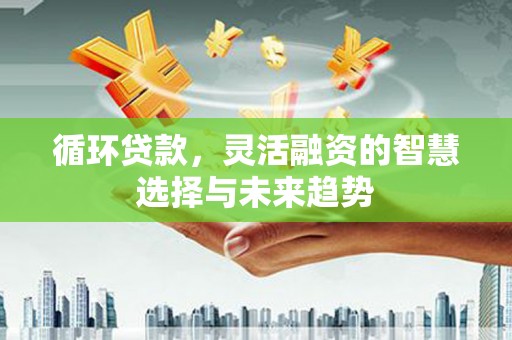 水城循环贷款，灵活融资的智慧选择与未来趋势