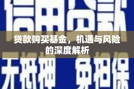 水城贷款购买基金，机遇与风险的深度解析