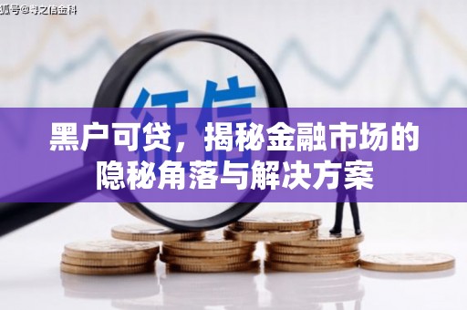 水城黑户可贷，揭秘金融市场的隐秘角落与解决方案