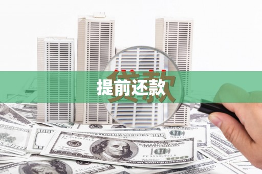 水城提前还款