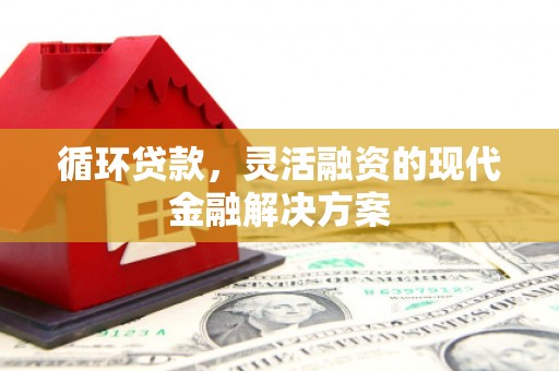 水城循环贷款，灵活融资的现代金融解决方案