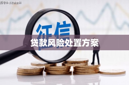 水城贷款风险处置方案