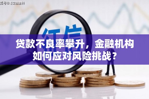 水城贷款不良率攀升，金融机构如何应对风险挑战？