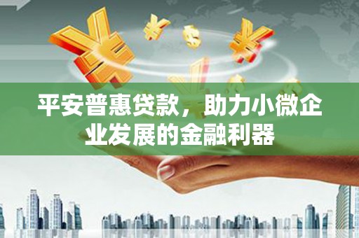 水城平安普惠贷款，助力小微企业发展的金融利器
