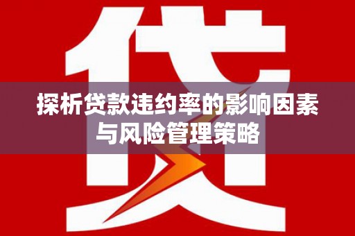 水城探析贷款违约率的影响因素与风险管理策略