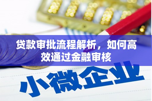水城贷款审批流程解析，如何高效通过金融审核