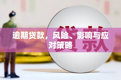 水城逾期贷款，风险、影响与应对策略