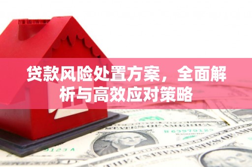 水城贷款风险处置方案，全面解析与高效应对策略