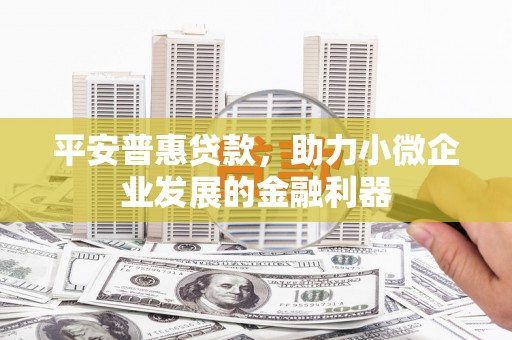 水城平安普惠贷款，助力小微企业发展的金融利器