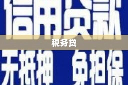 水城税务贷
