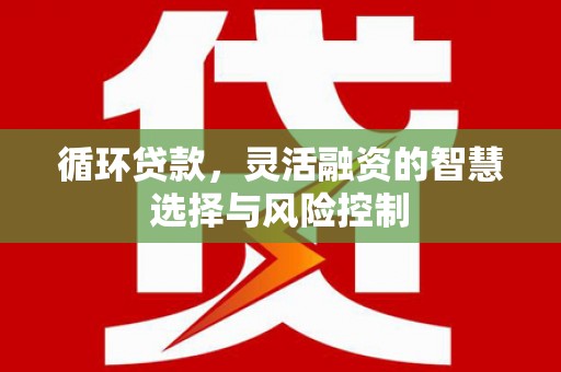 水城循环贷款，灵活融资的智慧选择与风险控制