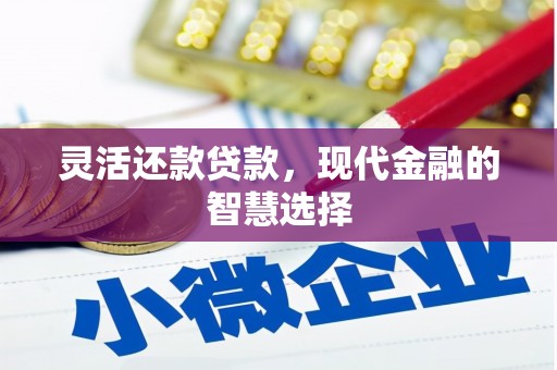 水城灵活还款贷款，现代金融的智慧选择