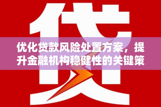 水城优化贷款风险处置方案，提升金融机构稳健性的关键策略