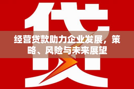 水城经营贷款助力企业发展，策略、风险与未来展望