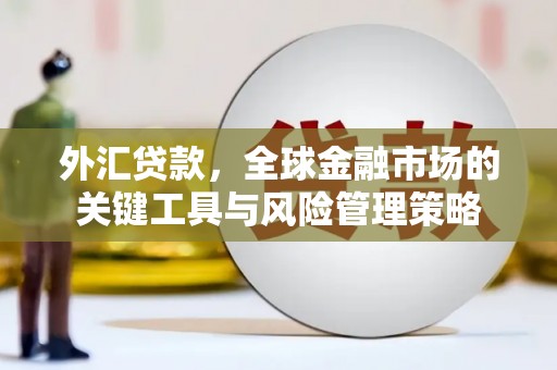 水城外汇贷款，全球金融市场的关键工具与风险管理策略