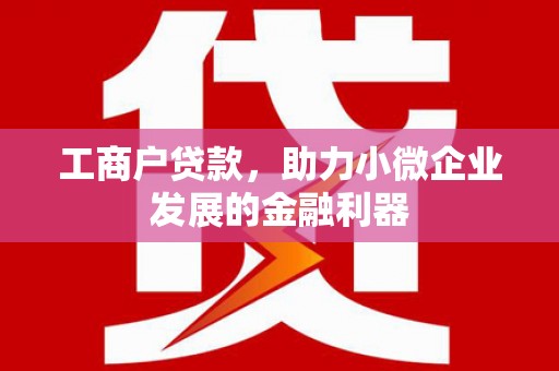 水城工商户贷款，助力小微企业发展的金融利器