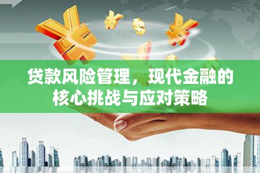 水城贷款风险管理，现代金融的核心挑战与应对策略