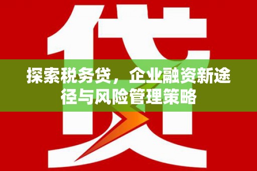水城探索税务贷，企业融资新途径与风险管理策略