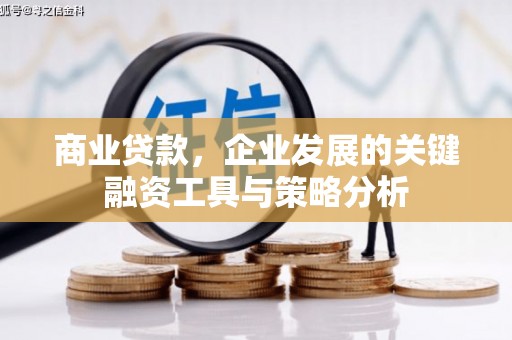 水城商业贷款，企业发展的关键融资工具与策略分析