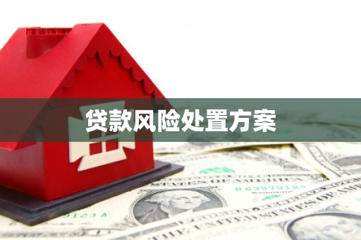 水城贷款风险处置方案