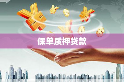 水城保单质押贷款